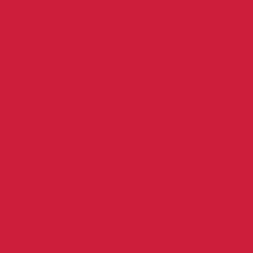 PURE Solids - Undeniably Red - Art Gallery Fabrics - Soul Stitchery